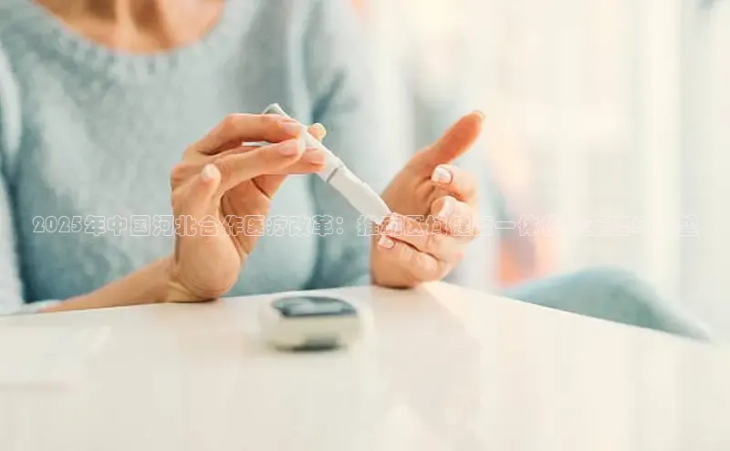 头玩官网登录入口