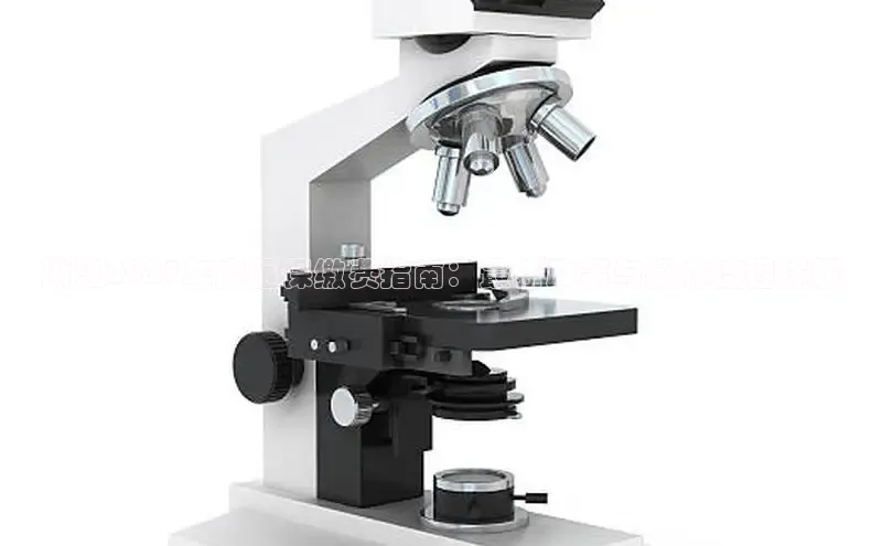 龙八国际app官网