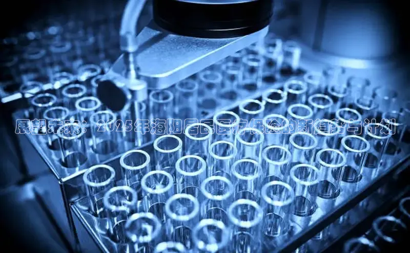 龙八国际app官网