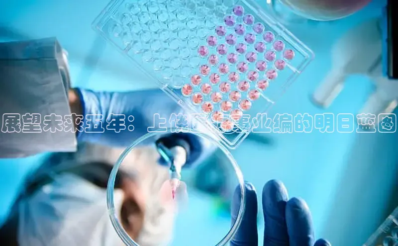 龙八国际下载链接