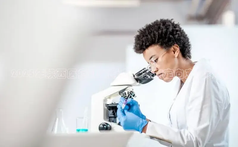 龙八国际app官网