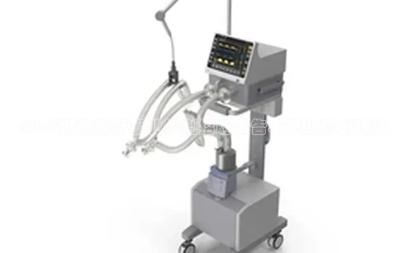 龙八国际app官网