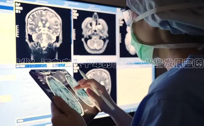 头玩官网登录入口